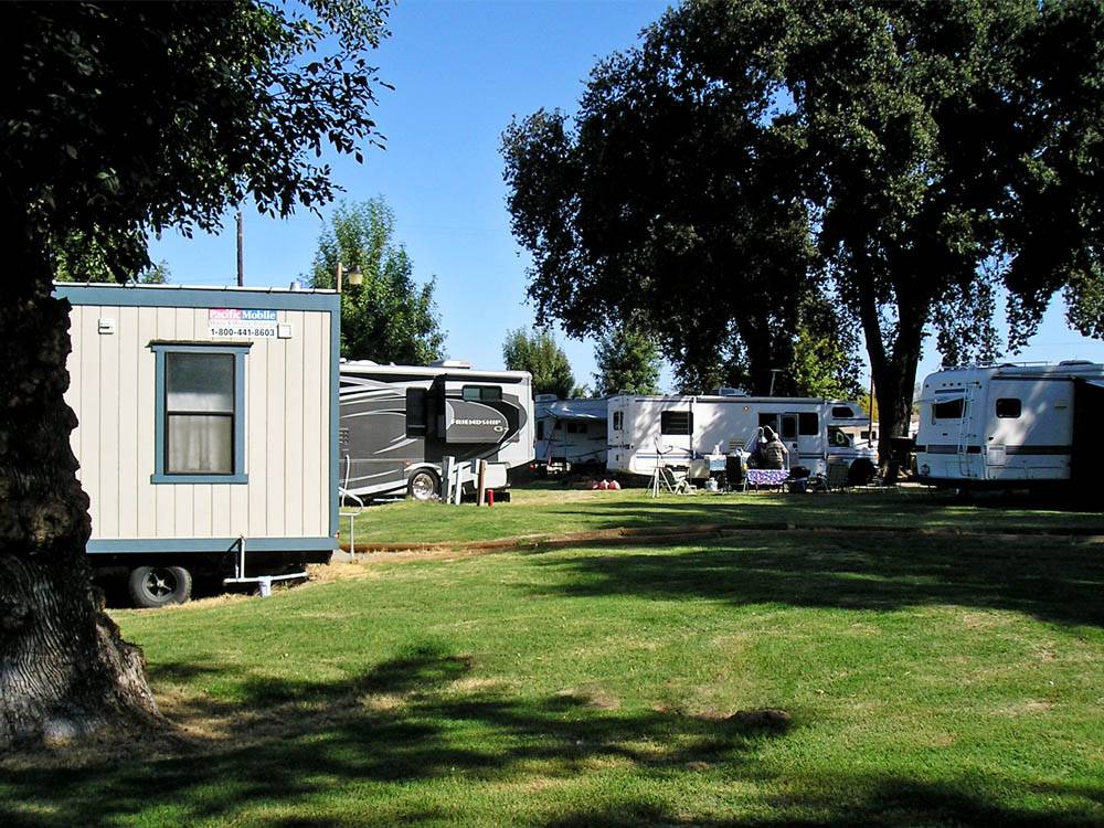 RVs and trailers at campground at THOUSAND TRAILS TURTLE BEACH