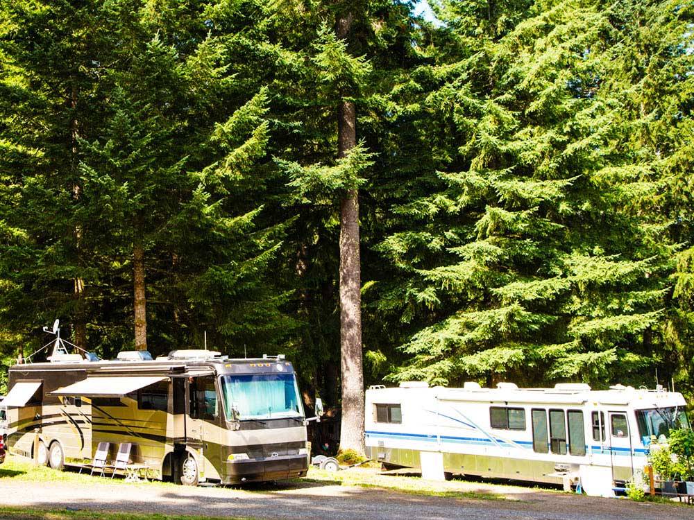 RVs camping  at THOUSAND TRAILS PARADISE