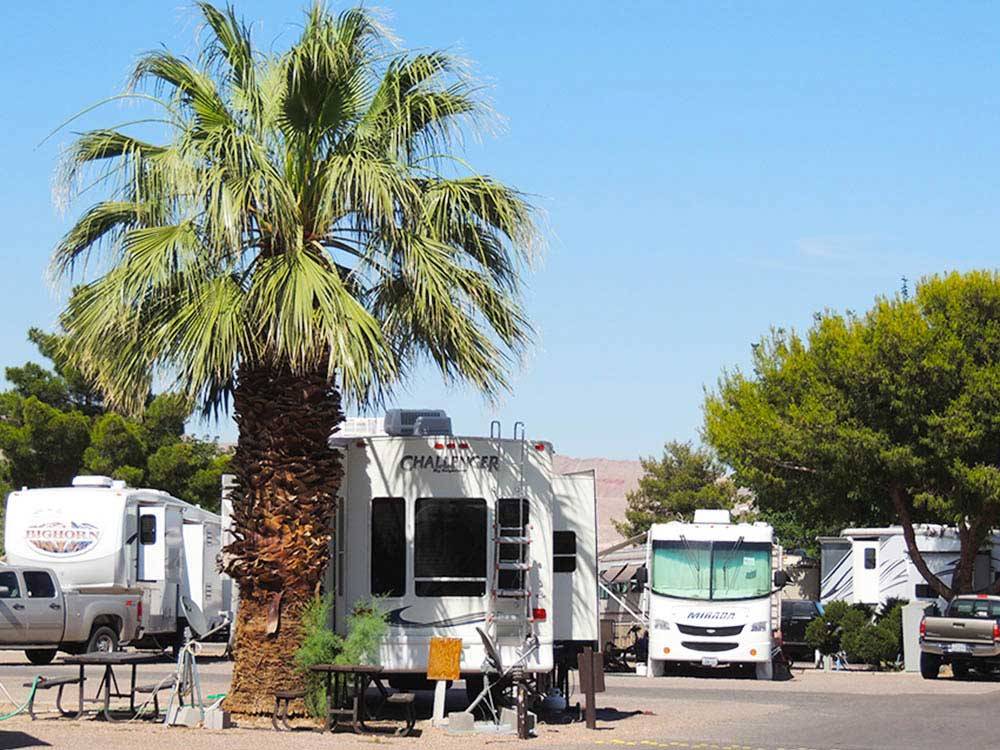 RVs and truck and trailers camping at THOUSAND TRAILS LAS VEGAS