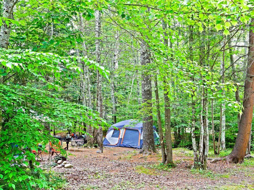 Tent at campsite at THOUSAND TRAILS MOODY BEACH