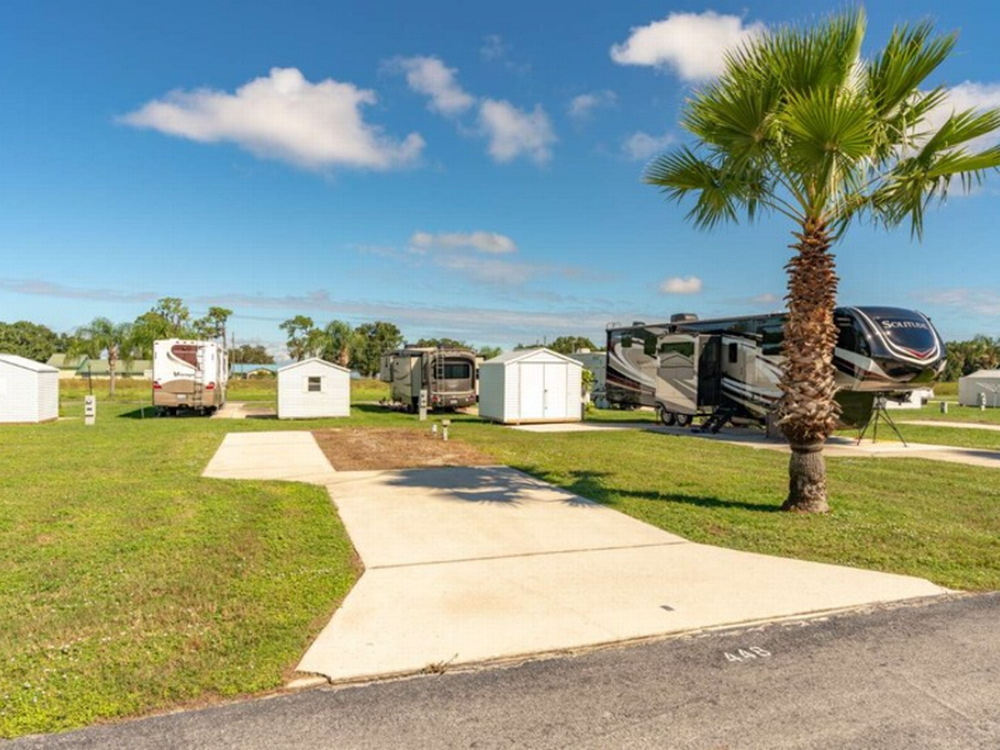 Another paved site next to a tree