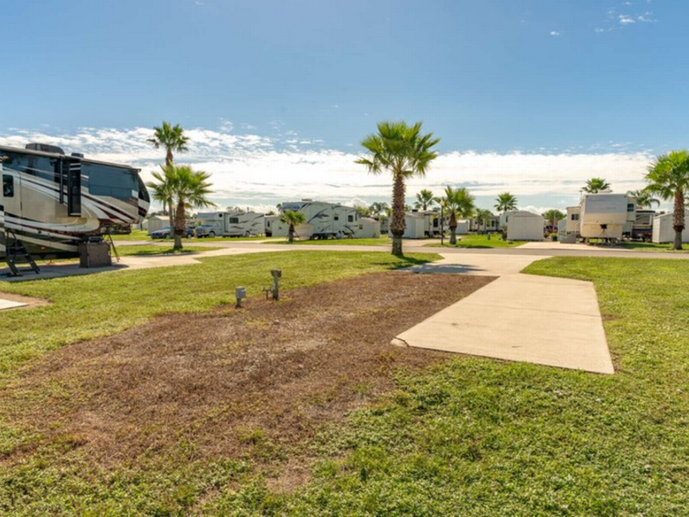 Sunny day at the park