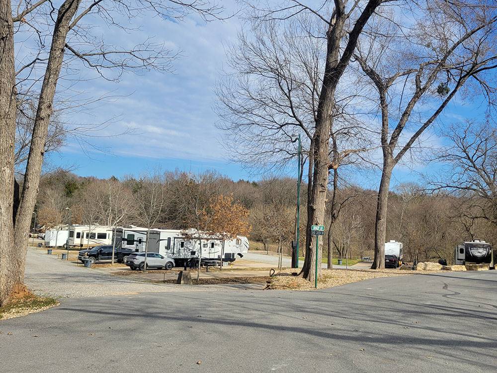A variety of RVs parked at sites