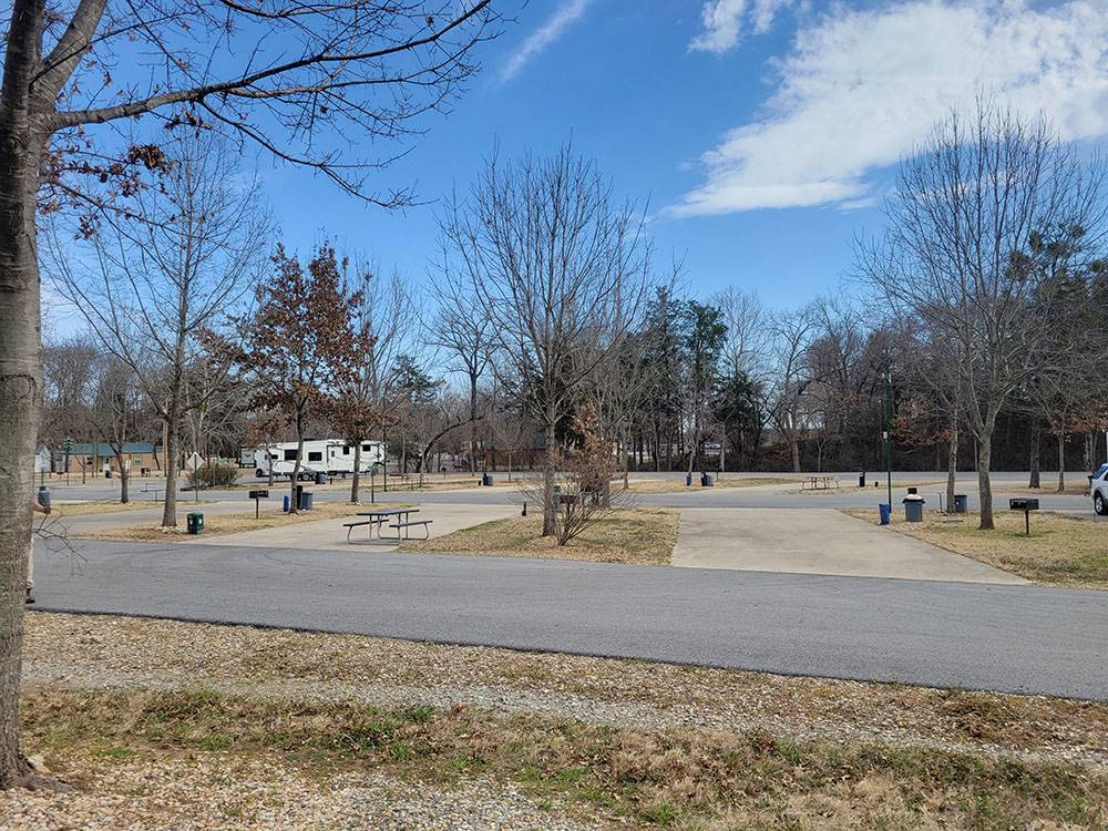 Paved sites with trees