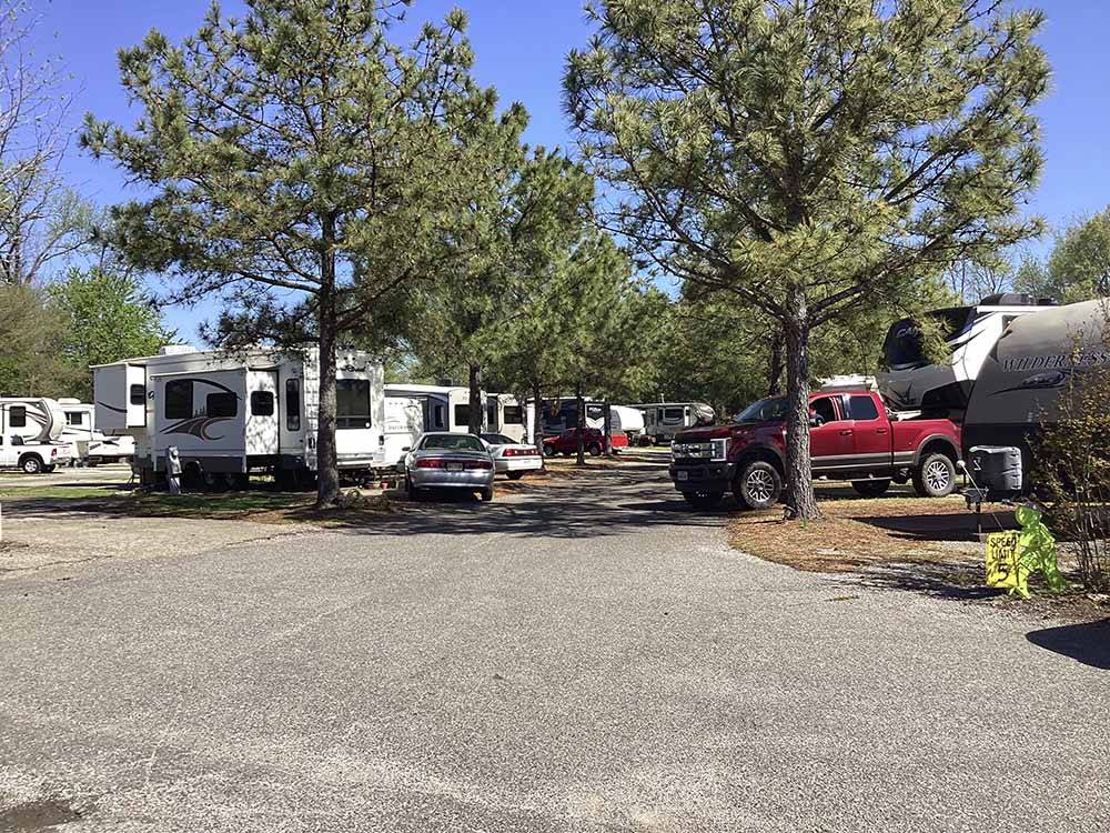 A row of tree lined RV sites at SOUTHAVEN RV PARK