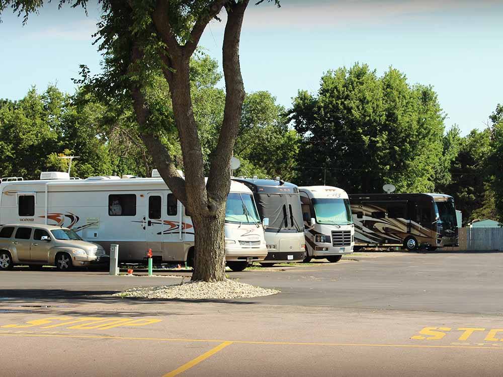 RVs parked next to a tree at TOWER CAMPGROUND