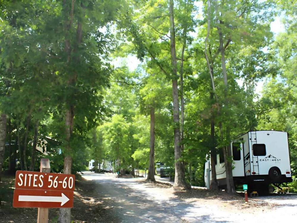 View of campground site at Little River Campground