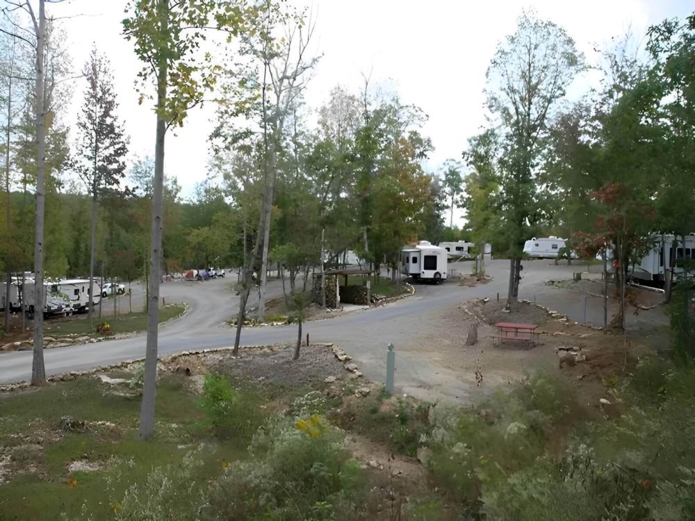 Open RV space at site Little River RV Park & Campground