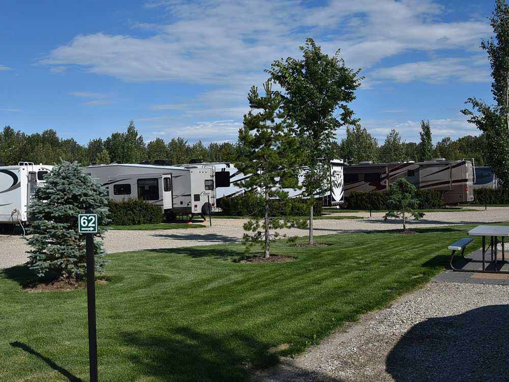 A row of RVs in front of a grassy area at CAMP 'N CLASS RV PARK