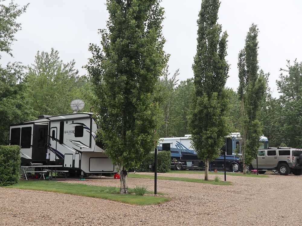 A row of gravel RV sites at CAMP 'N CLASS RV PARK
