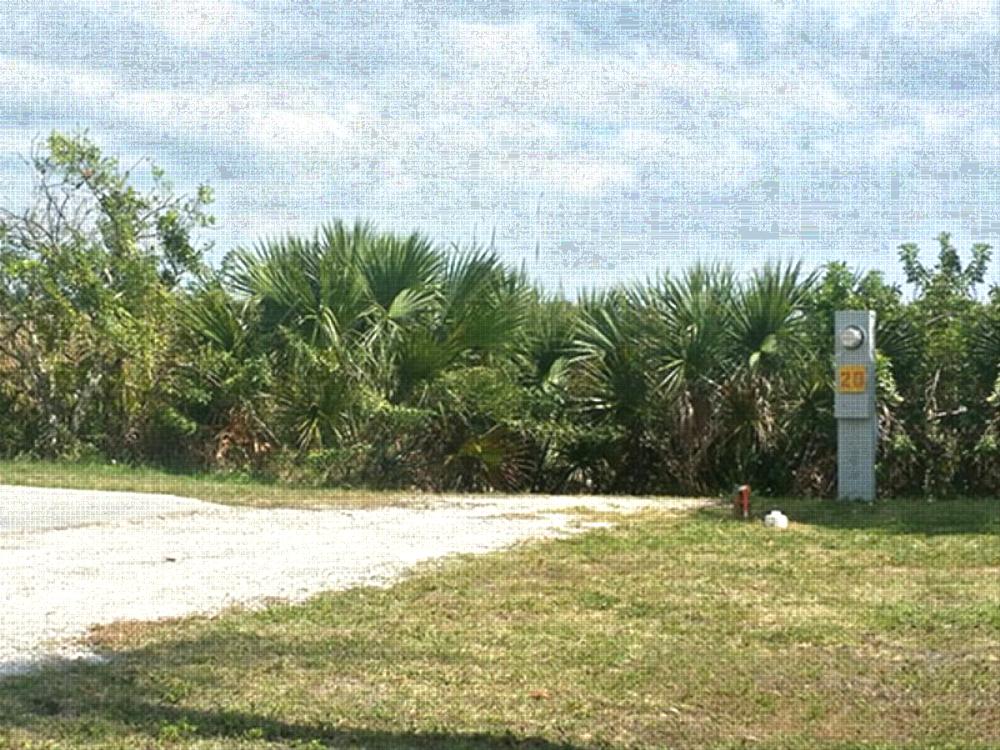 Open space at site Myakka River Motorcoach Resort