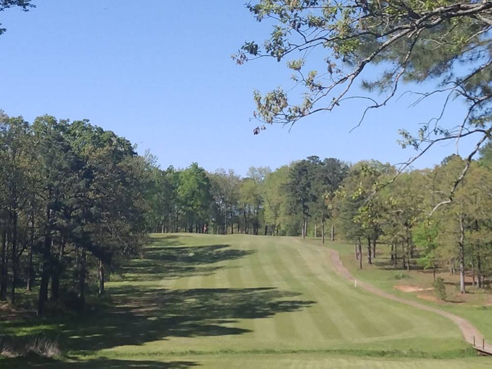 Grassy area surrounded by trees