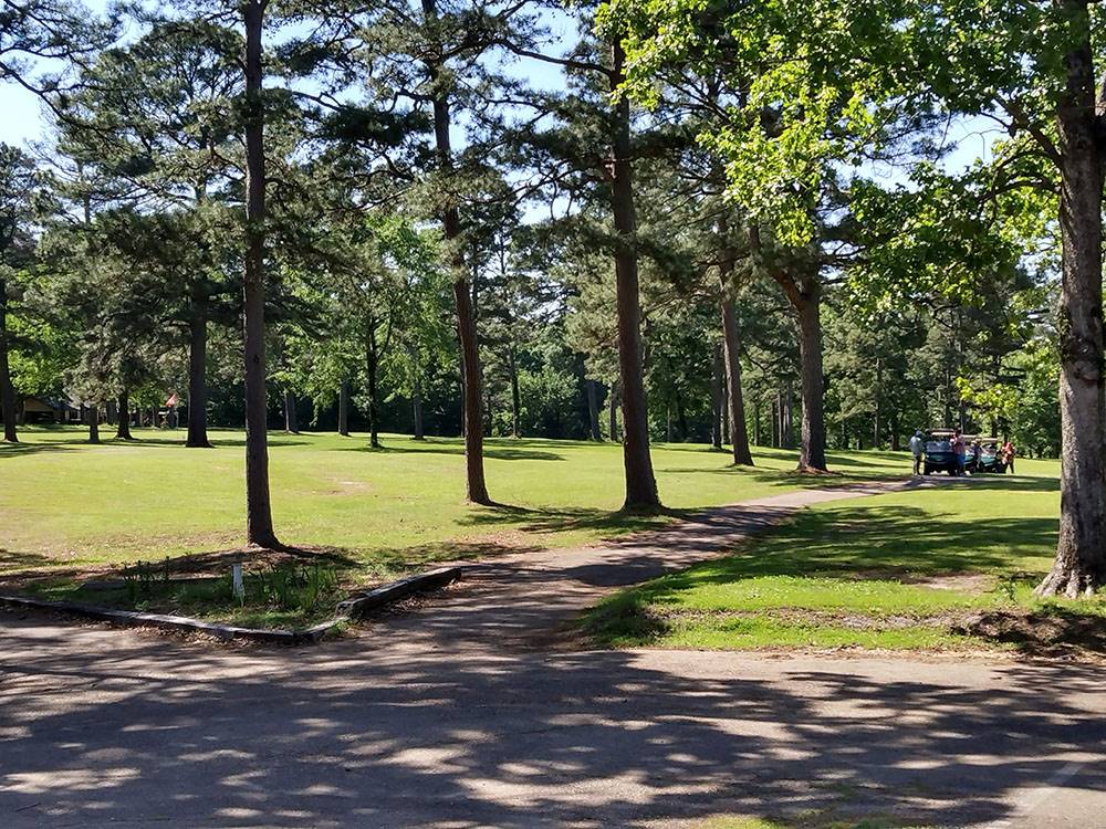 Golf carts parked on a small road