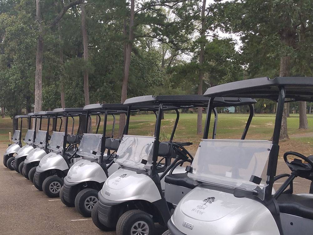 A row of parked golf carts