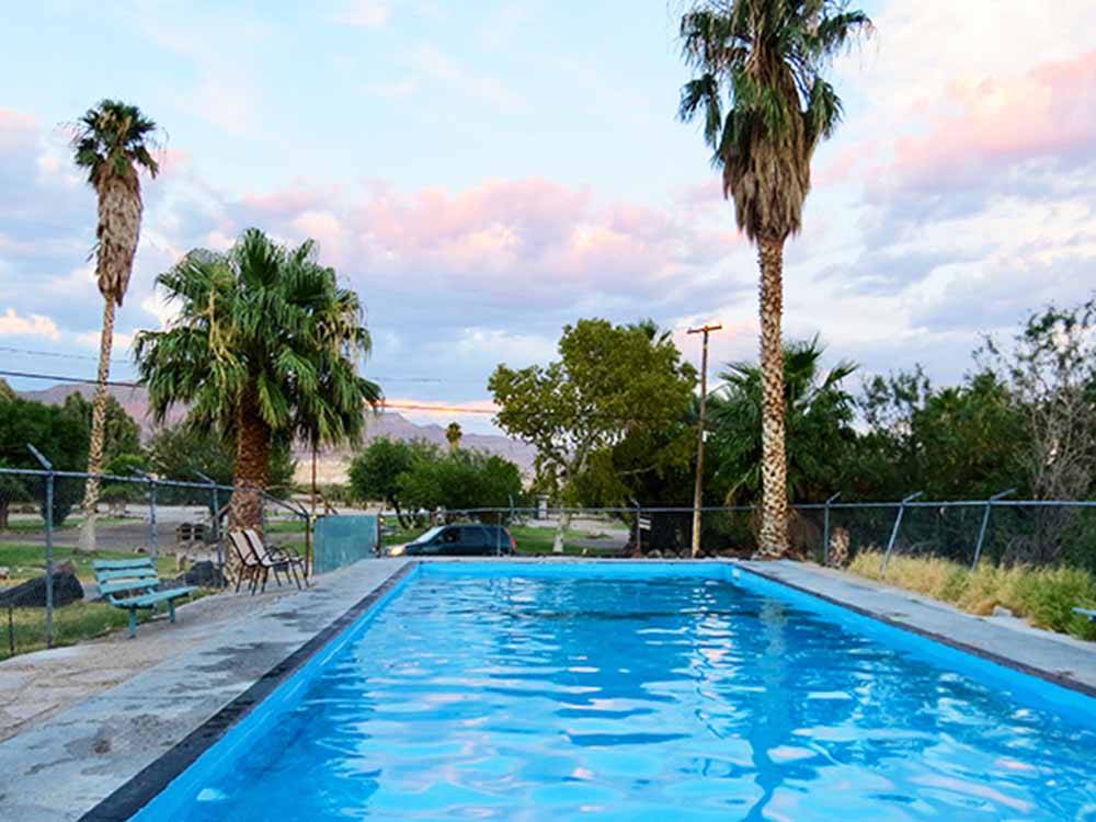 Swimming pool and palm trees at SHOSHONE RV PARK