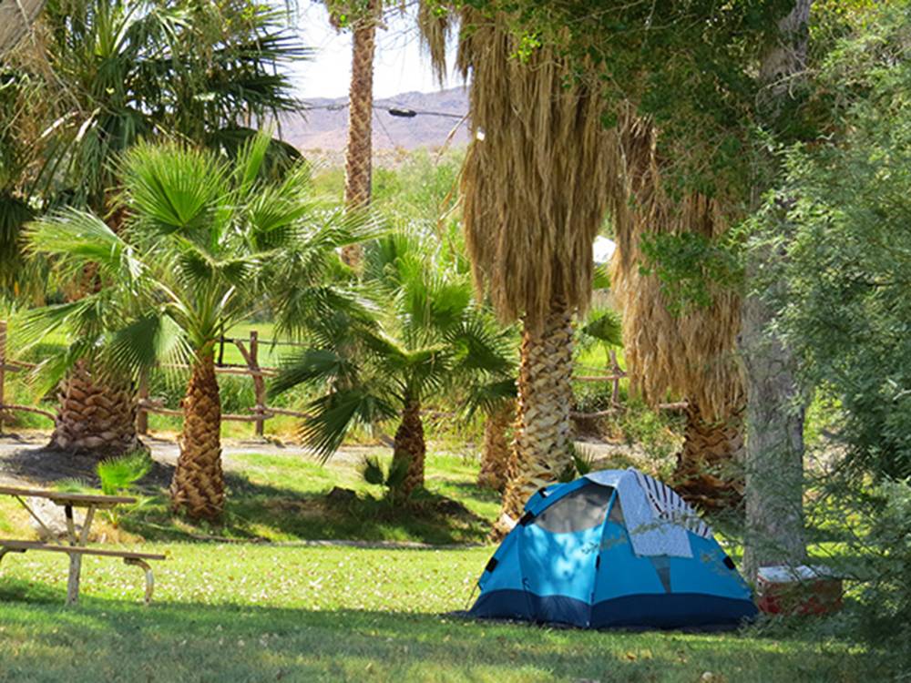 Campground Image