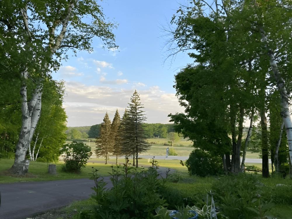 Open RV site at Baileys Woods Campground