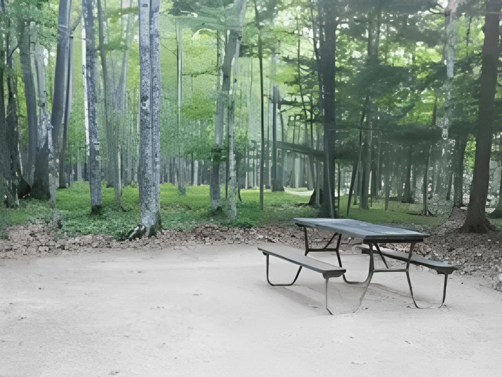 Panic area at Baileys Woods Campground