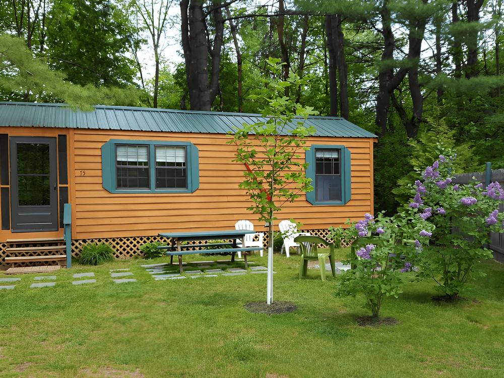 Flowers by cabin