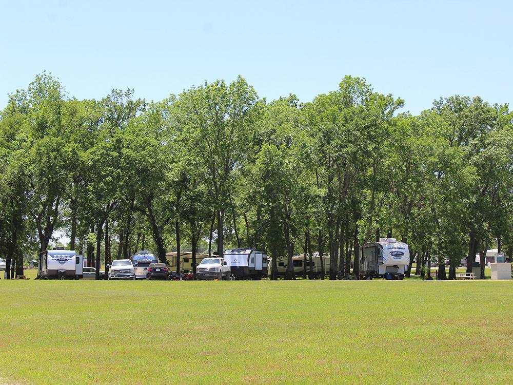 Tree lined camp sites