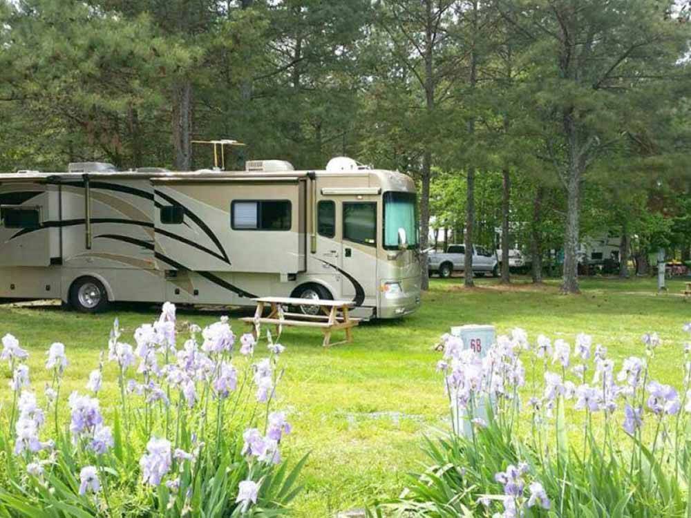 A Class A motorhome parked with the slide outs pulled out at PLUM NELLY RV PARK