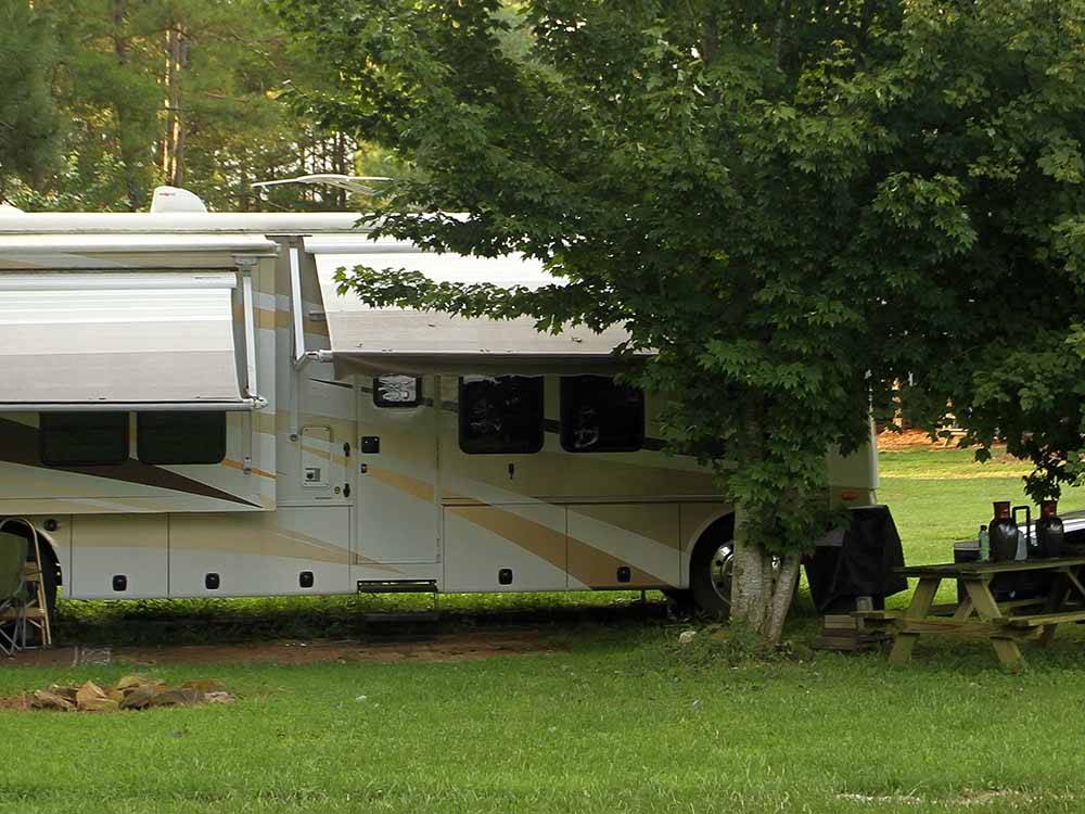A motorhome parked under a tree at PLUM NELLY CAMPGROUND