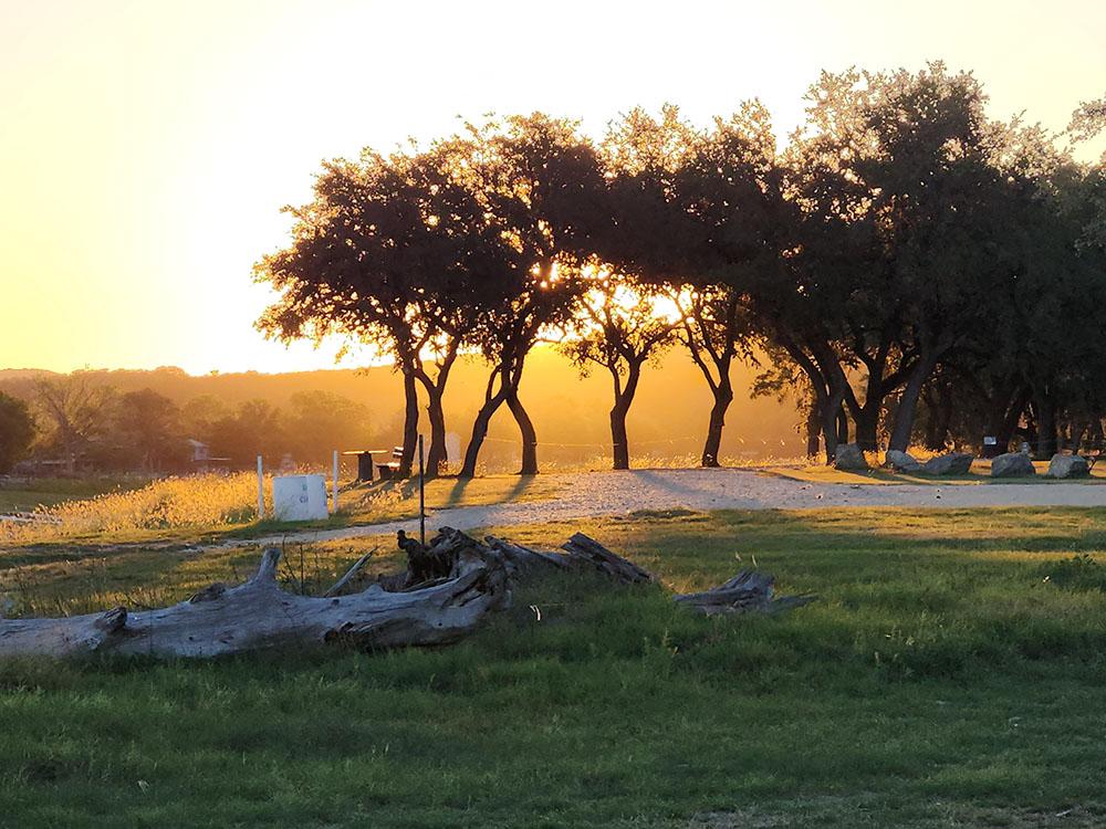 Sunset behind a row of trees at LAKE MEDINA RV RESORT