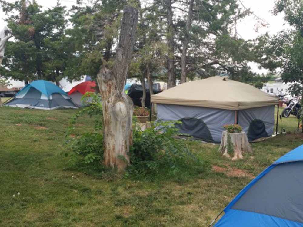 Tent camping area under shade trees at NO NAME CITY LUXURY CABINS & RV PARK