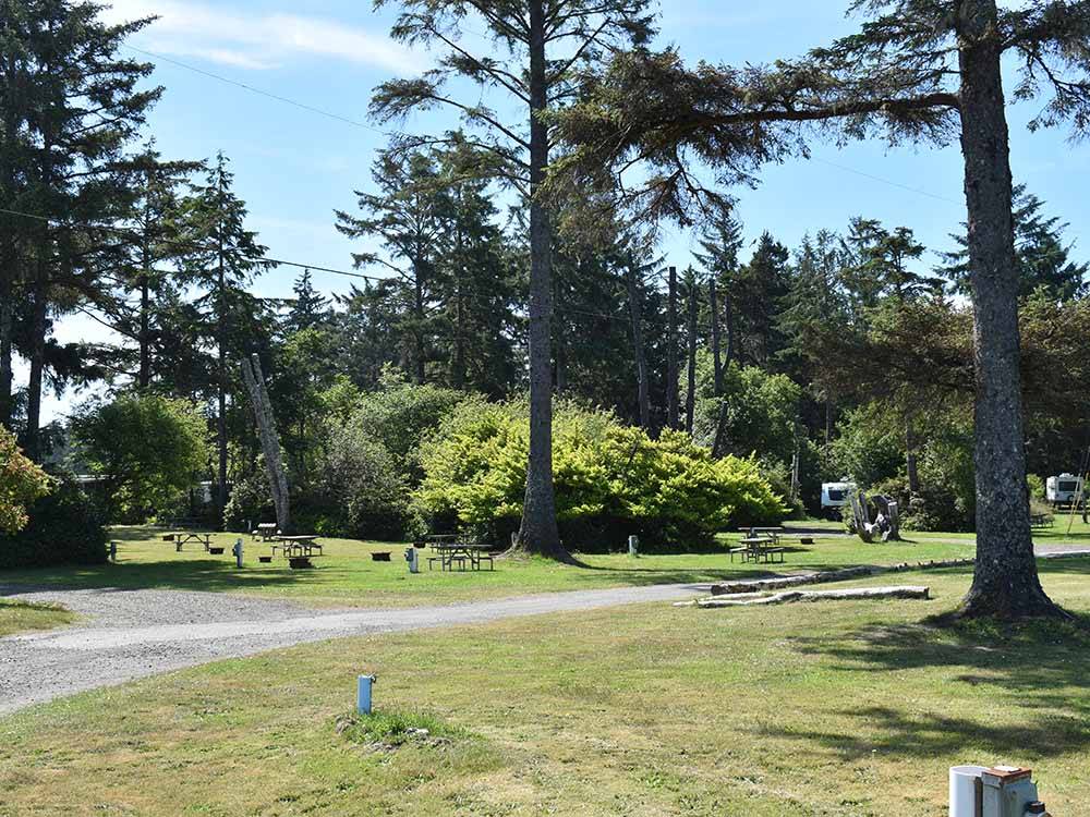 The gravel road and campsites at OCEAN PARK RESORT