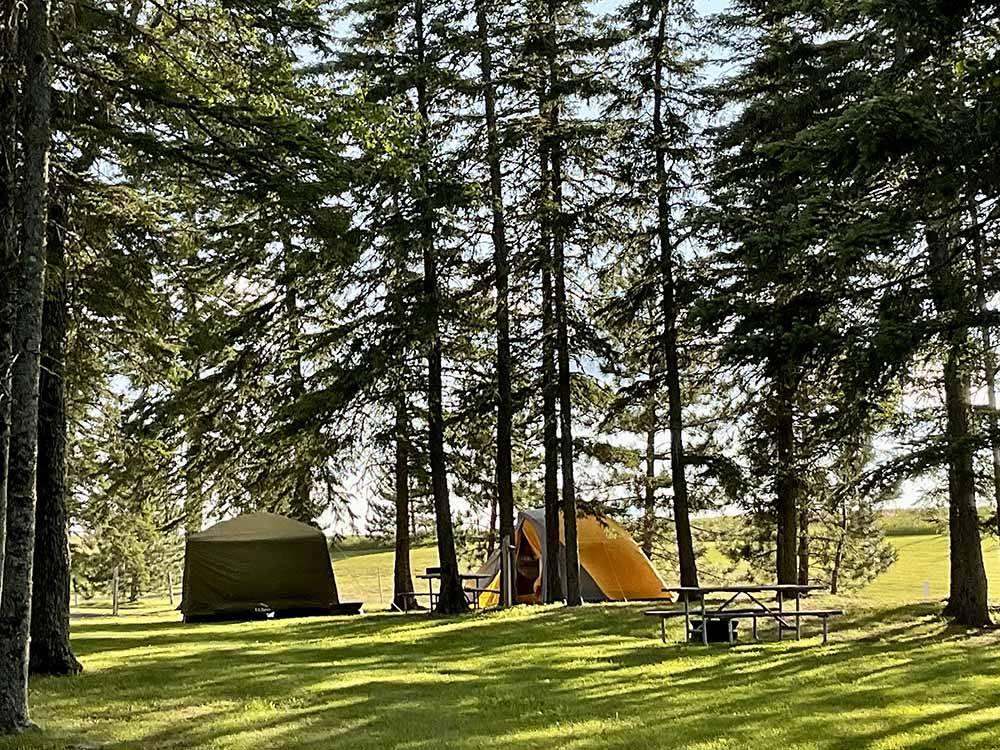 A couple of tents under trees at LAKEVIEW CAMPING RESORT