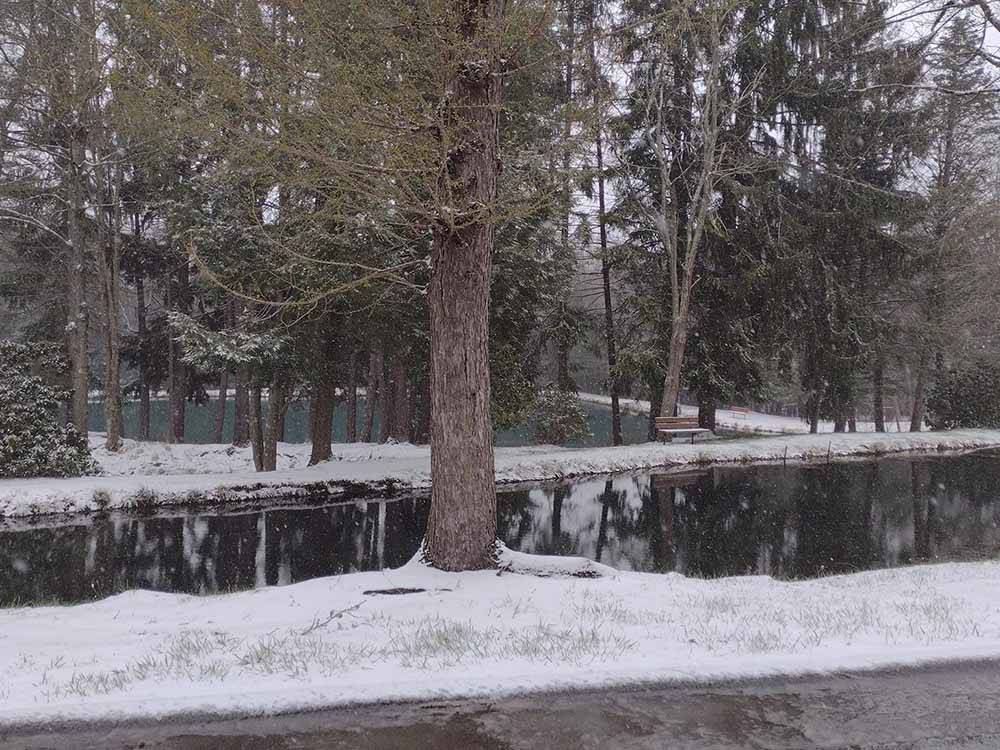 The pond covered with snow at WOODLAND PARK