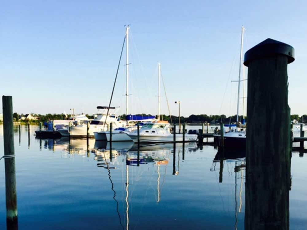 Boats docked in the marina at MONROE BAY CAMPGROUND