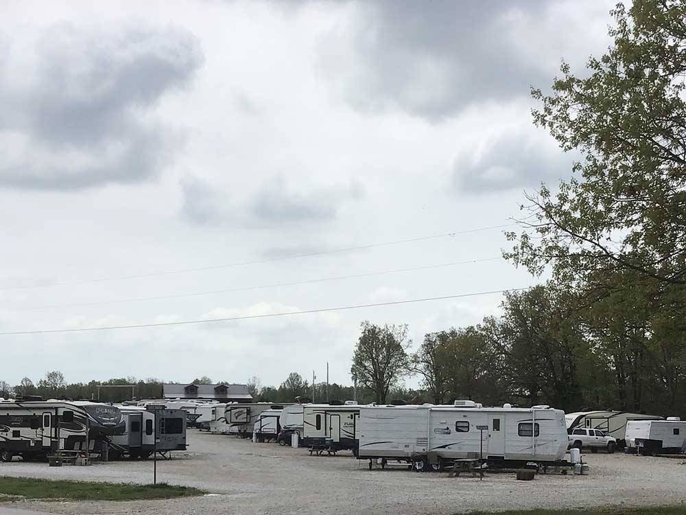 RV campground bordered by trees at RUSTIC MEADOWS RV PARK