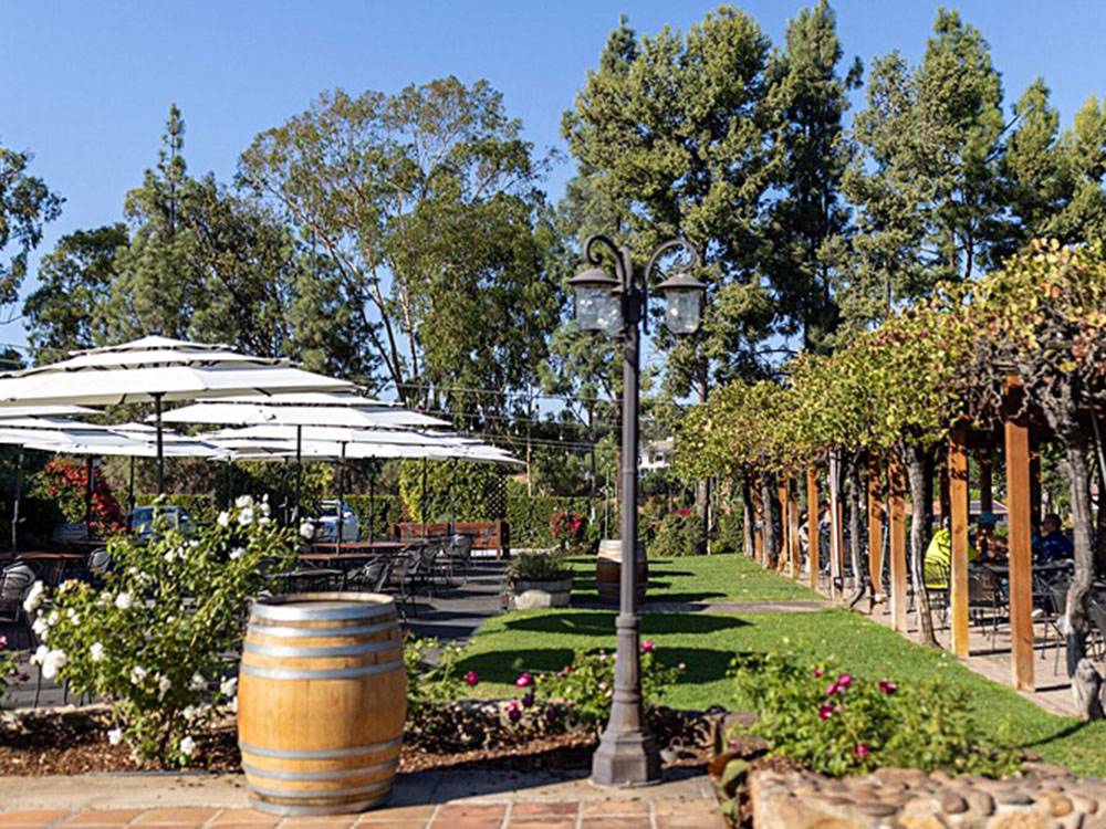 Vineyards area with tables nearby