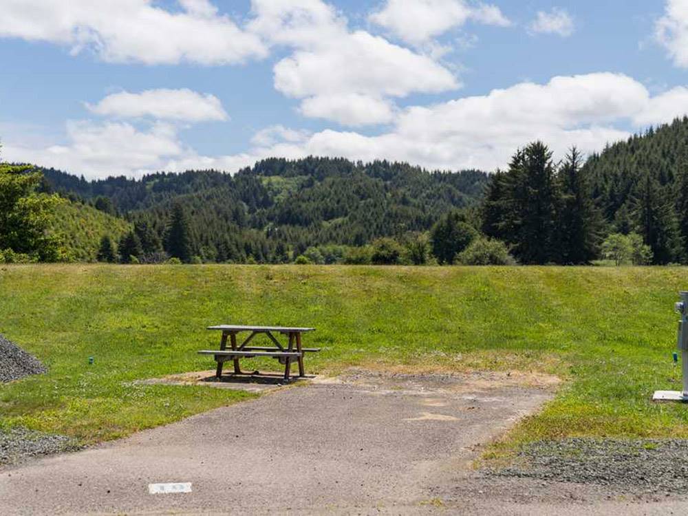 Empty RV site with scenic grass and picnic table at COHO RV PARK & MARINA