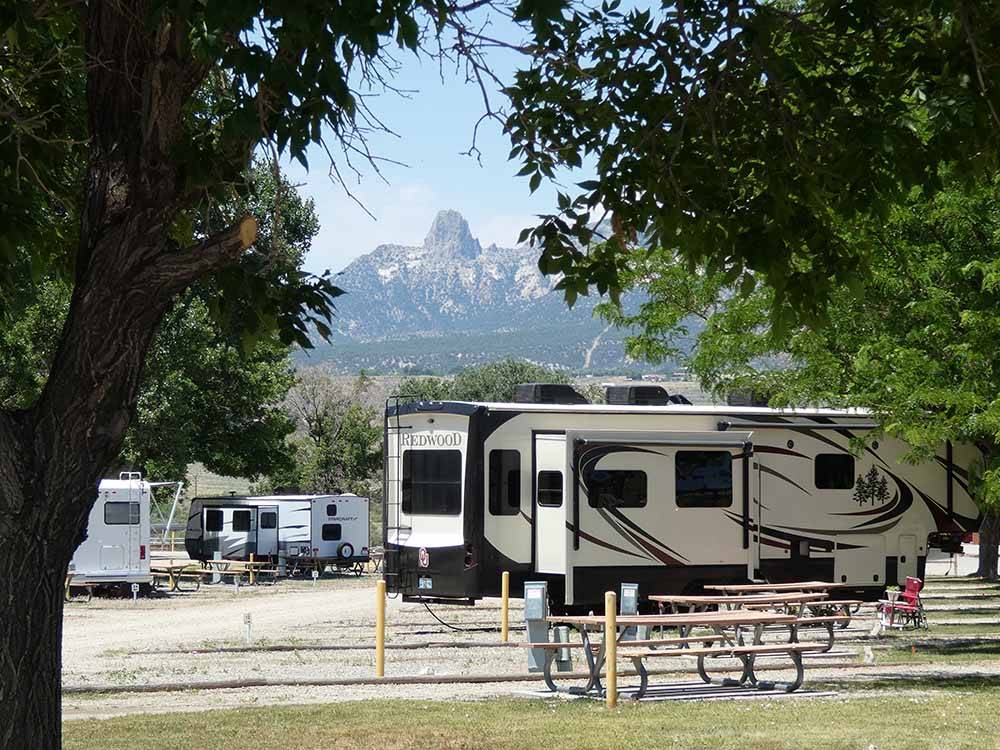 A row of RV sites with trees at SLEEPING UTE RV PARK