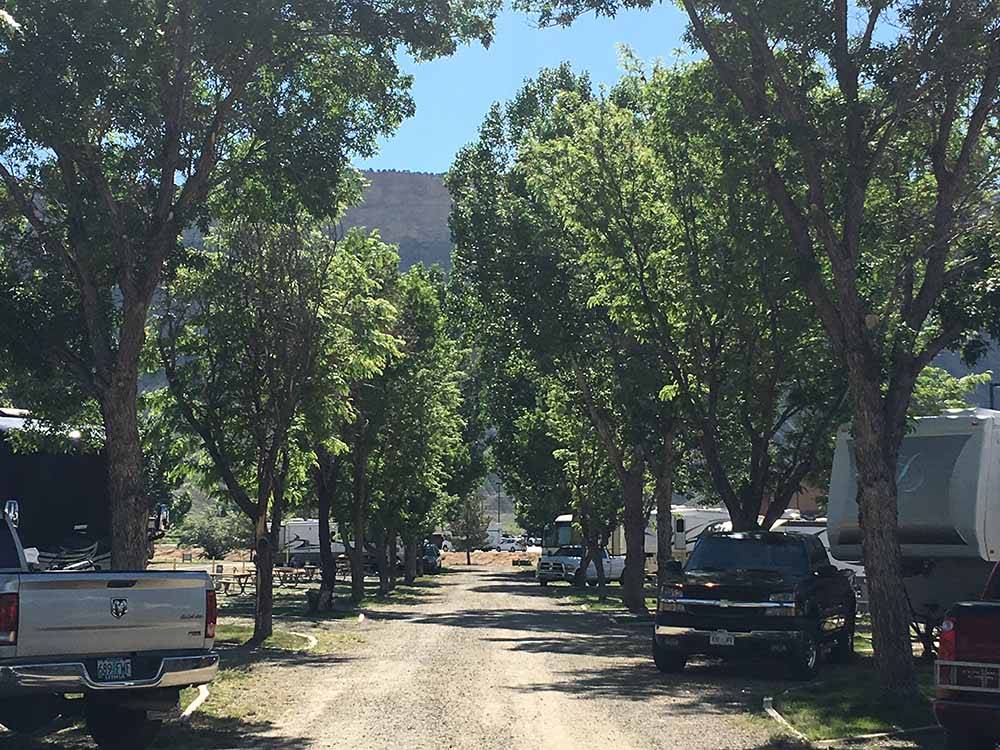 A tree lined gravel road at SLEEPING UTE RV PARK