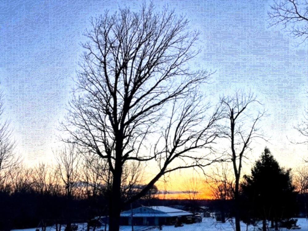 Sun setting at site Shady Oaks RV Park