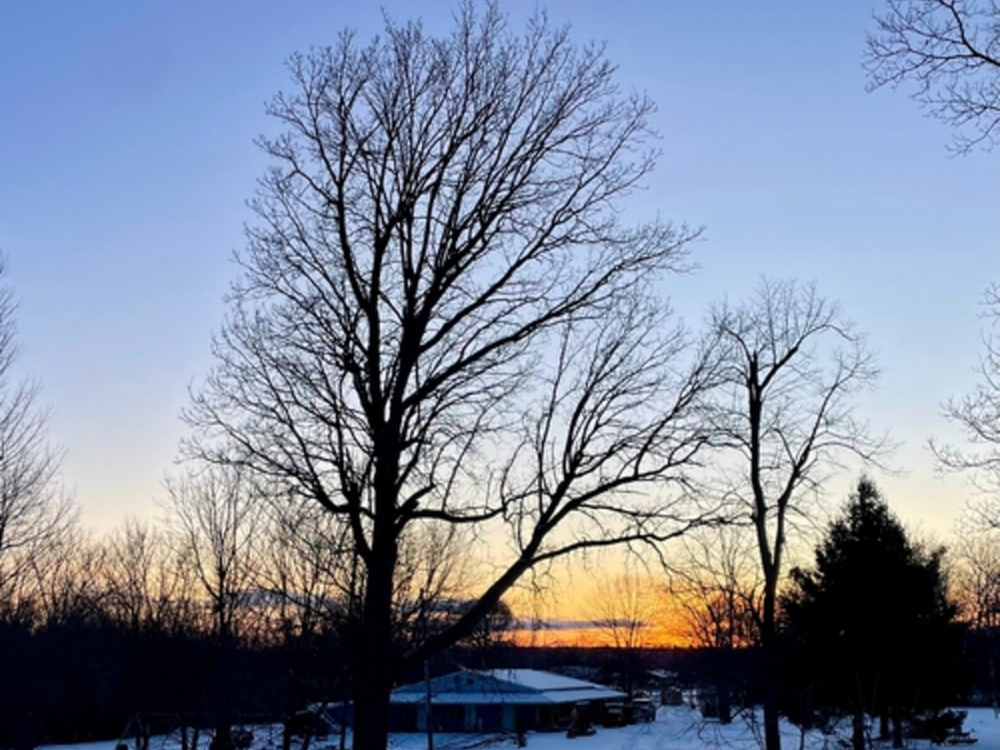 Park at dusk Shady Oaks RV Park