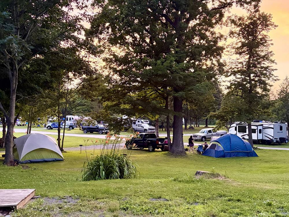 People near their RVs under shade trees