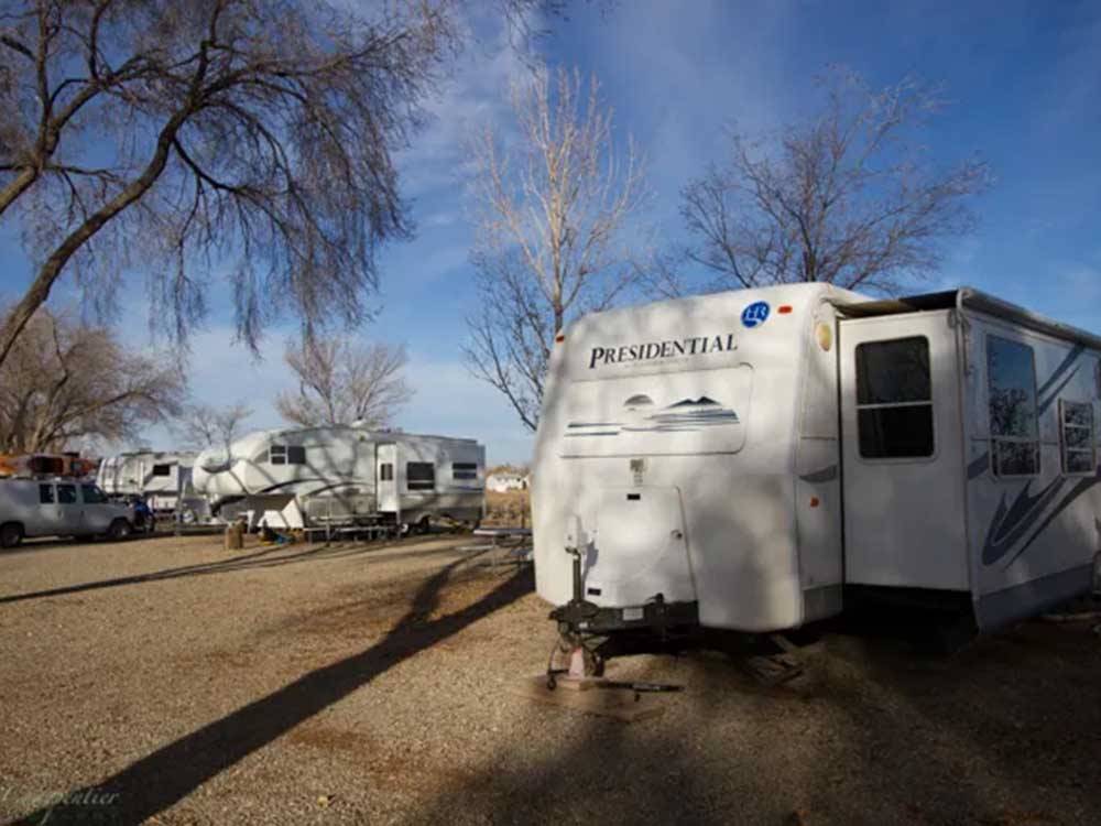 Travel trailers and fifth wheels at camp sites at LA MESA RV PARK