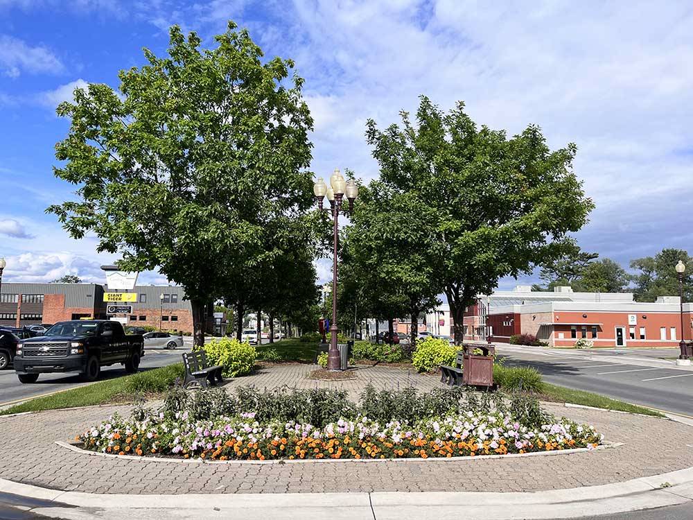 A view of the roundabout of the city nearby at RAPID BROOK CAMPING