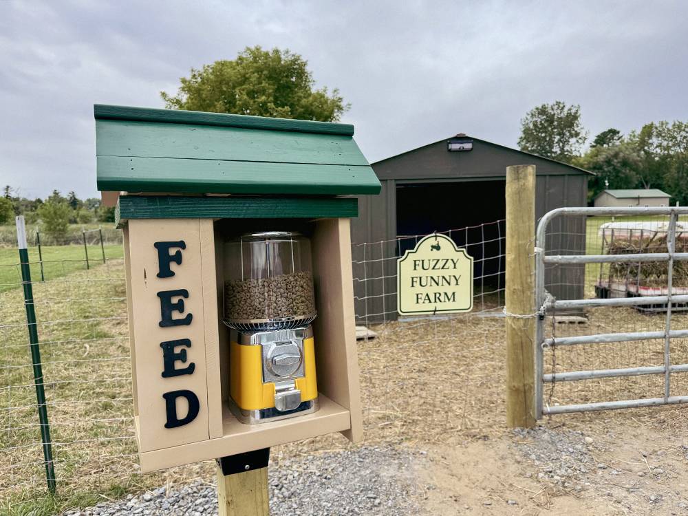Campground Image