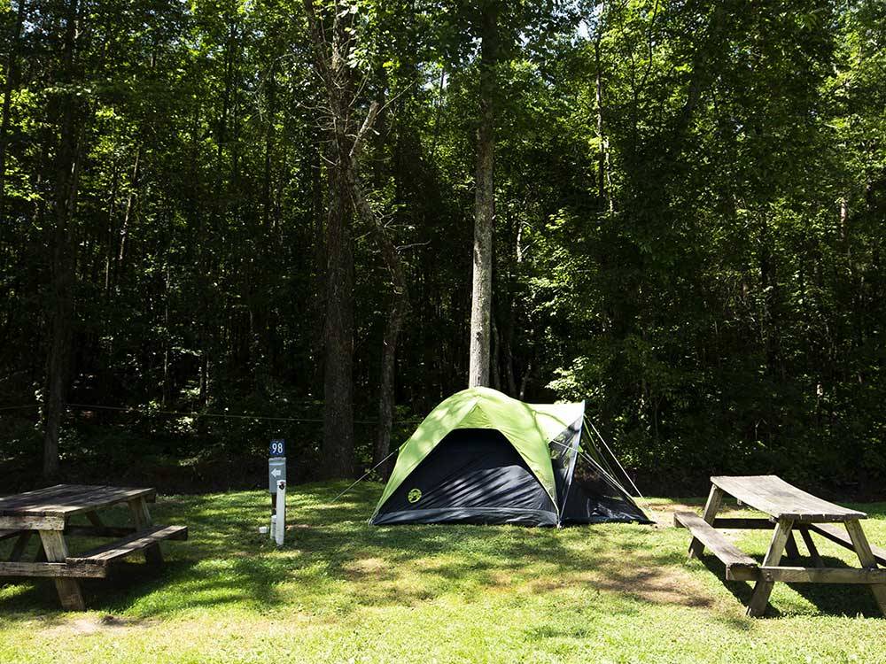 Grass tenting site with two picnic tables at YONAH MOUNTAIN CAMPGROUND
