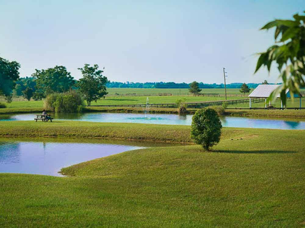 A grassy area with two lakes at SOUTHERN TRAILS RV RESORT