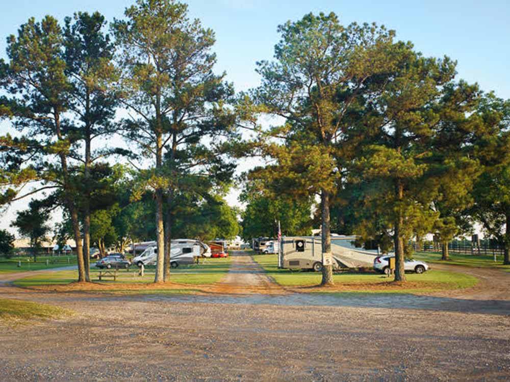 Gravel road running between RV sites at SOUTHERN TRAILS RV RESORT