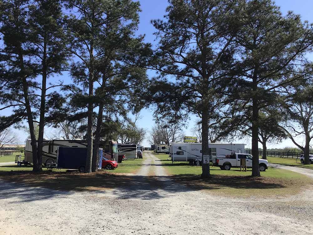 Trees lining the RV sites at SOUTHERN TRAILS RV RESORT