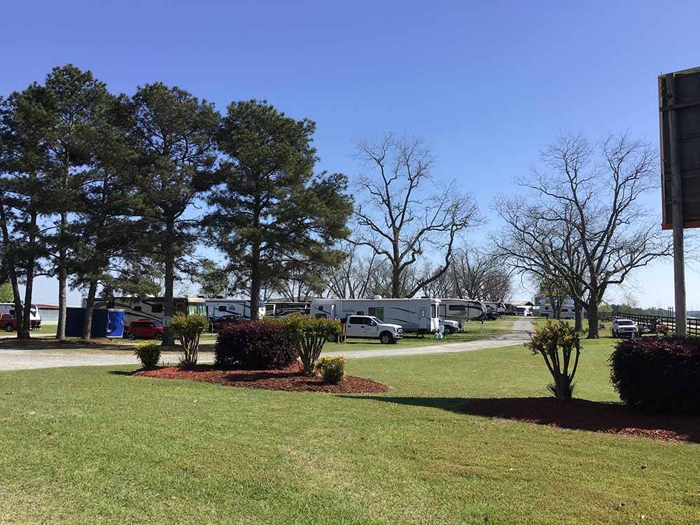 A grassy area next to some camping sites at SOUTHERN TRAILS RV RESORT