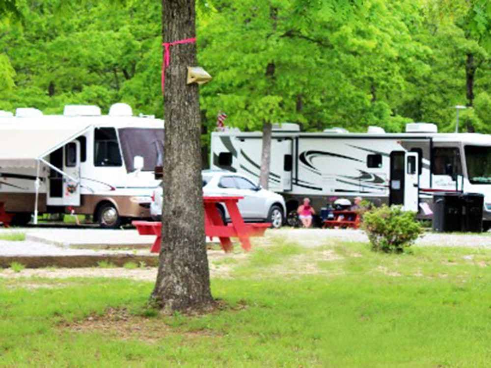 A tree in front of a row of RV sites at BRECKENRIDGE LAKE RESORT