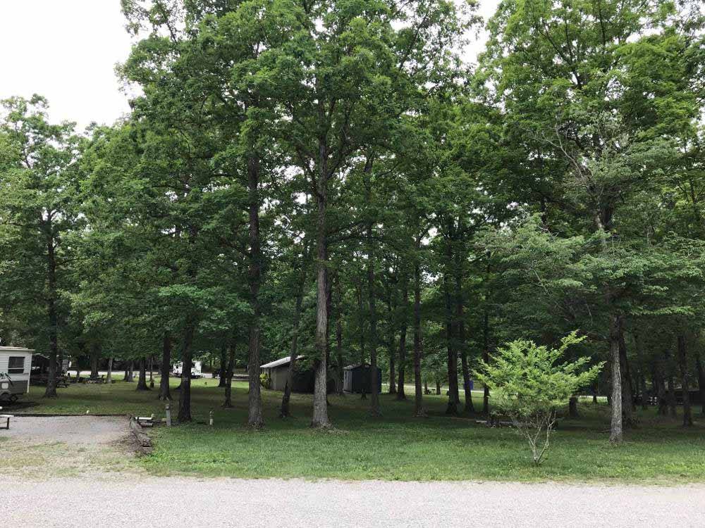 A group of trees next to the RV sites at BRECKENRIDGE LAKE RESORT